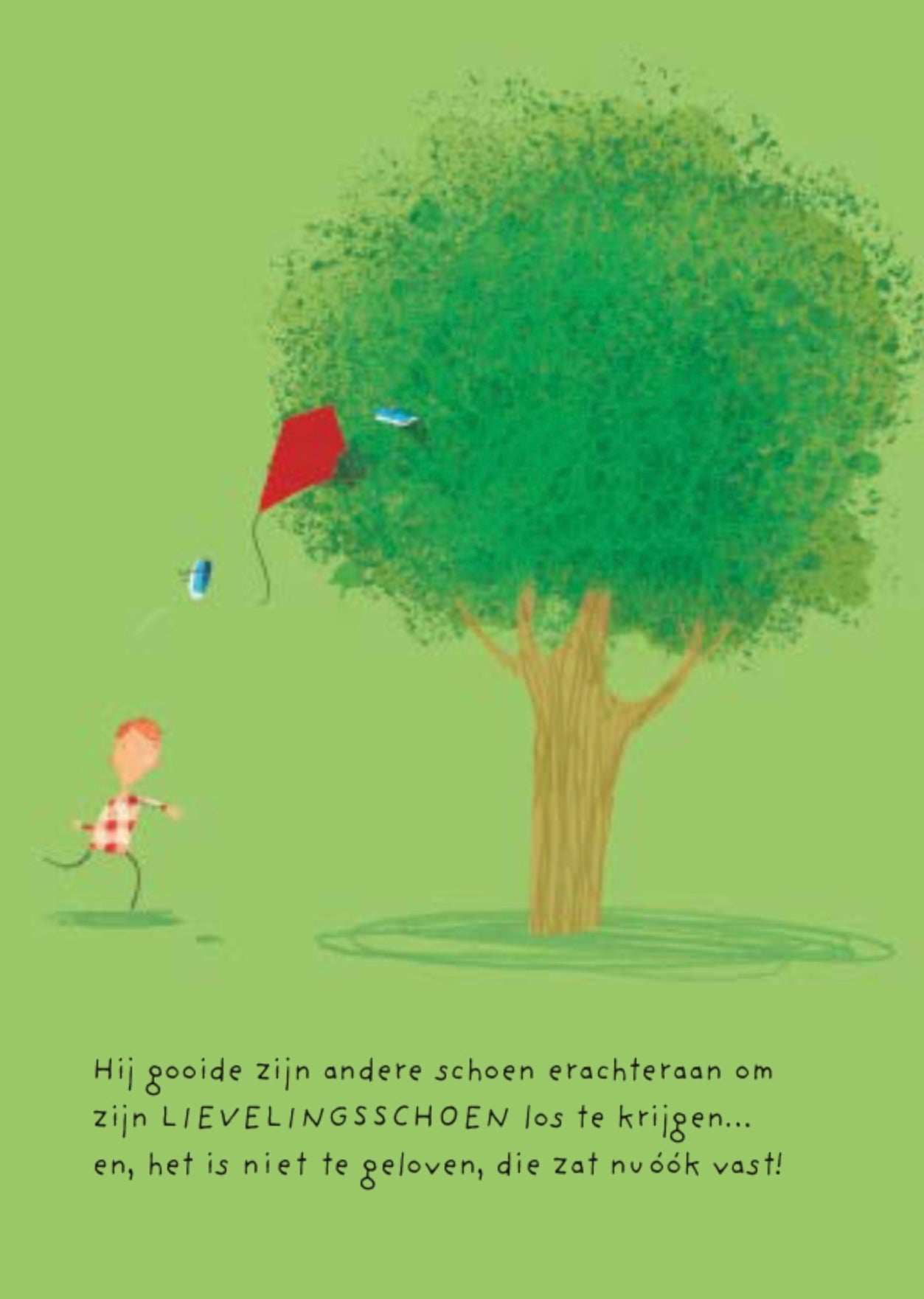 Vast - prentenboek van OliverJeffers